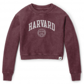 cropped harvard sweatshirt