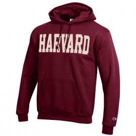 harvard oversized sweatshirt
