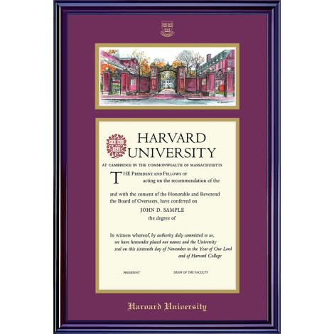 undergrad or grad diploma frame w lithograph