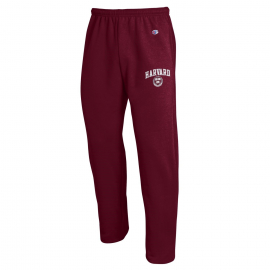 champion sweatpants